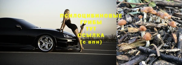 каннабис Гусь-Хрустальный