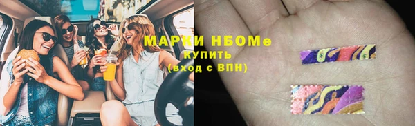 индика Гусев