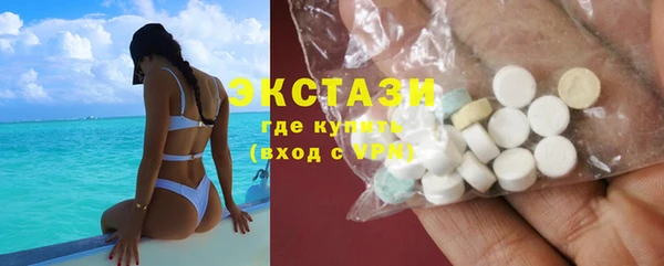индика Гусев
