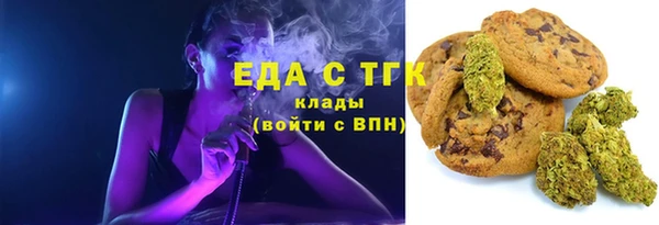 индика Гусев