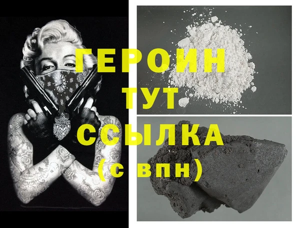 индика Гусев