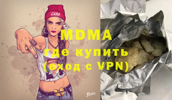 индика Гусев