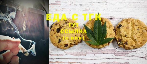 индика Гусев