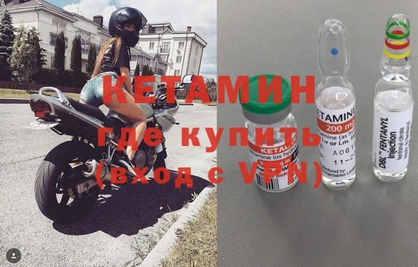 индика Гусев