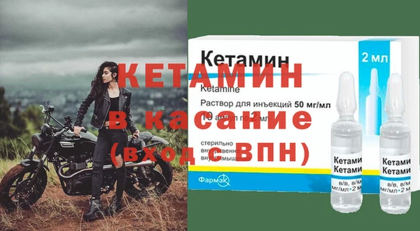 индика Гусев