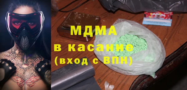 индика Гусев